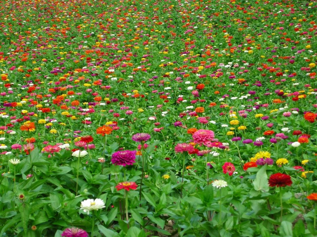 市民パソコン塾 木更津校 画像 450