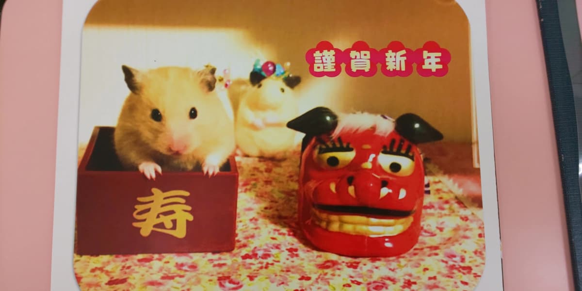 市民パソコン塾 木更津校 画像 485