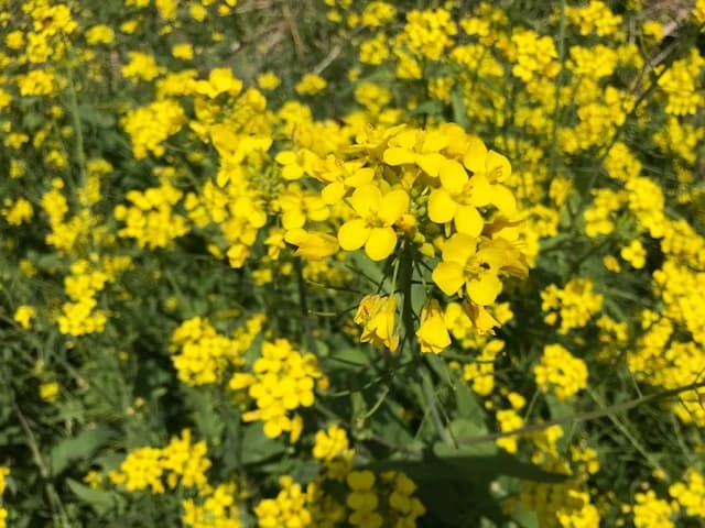 市民パソコン塾 木更津校 画像 496