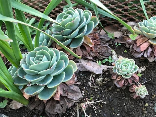 市民パソコン塾 木更津校 画像 499