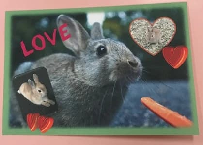 市民パソコン塾 木更津校 画像 501