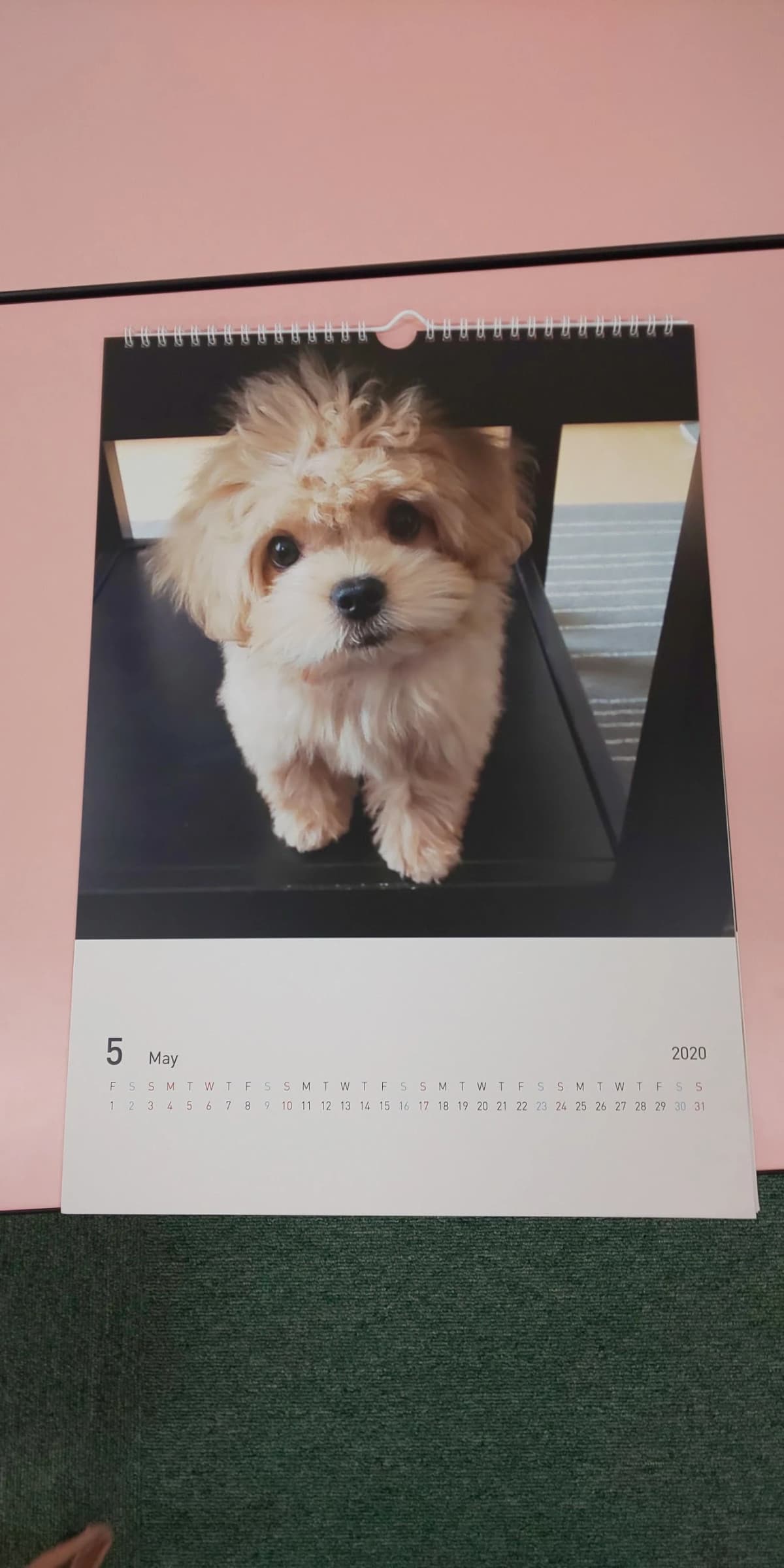 市民パソコン塾 木更津校 画像 520