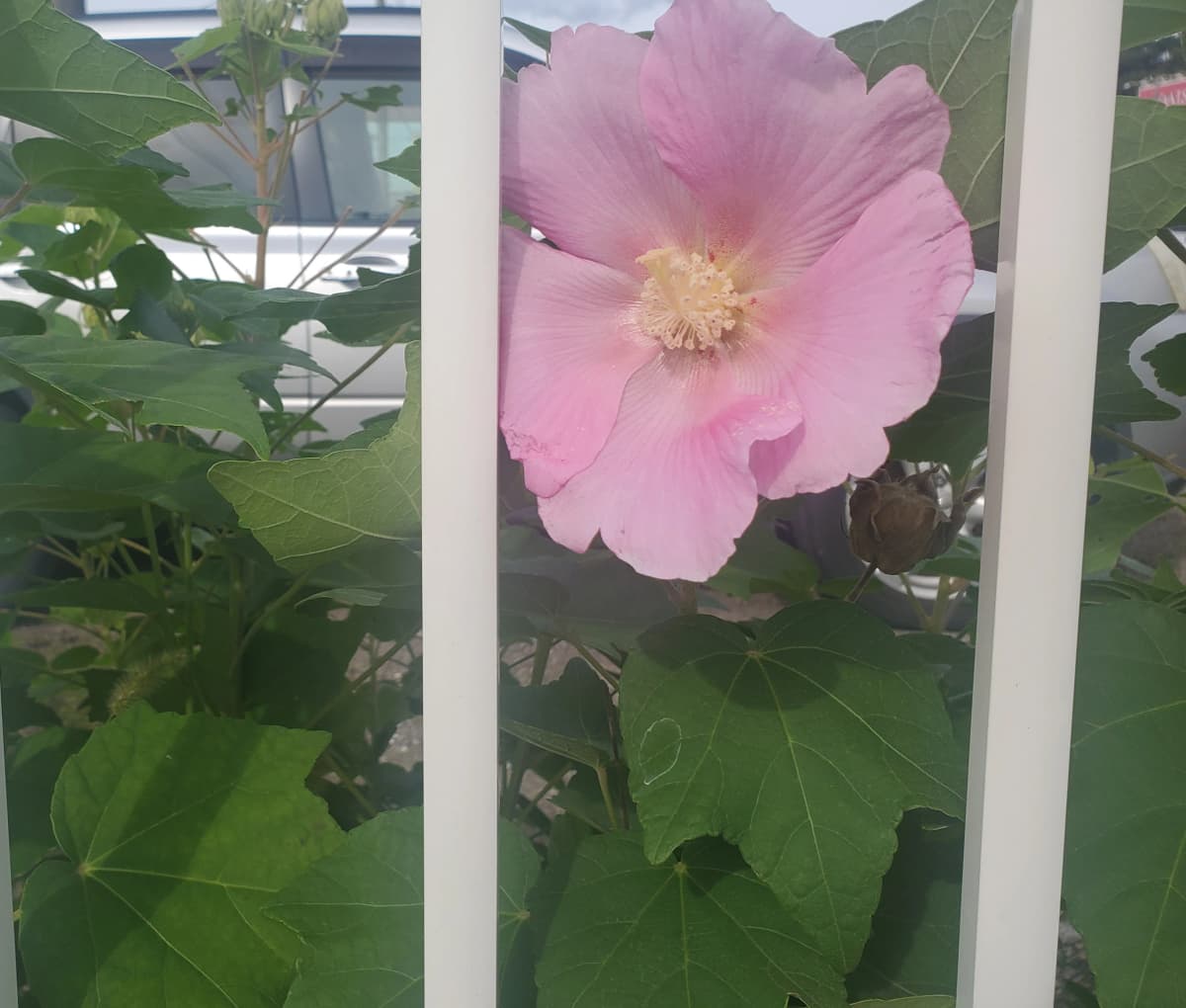 市民パソコン塾 木更津校 画像 531