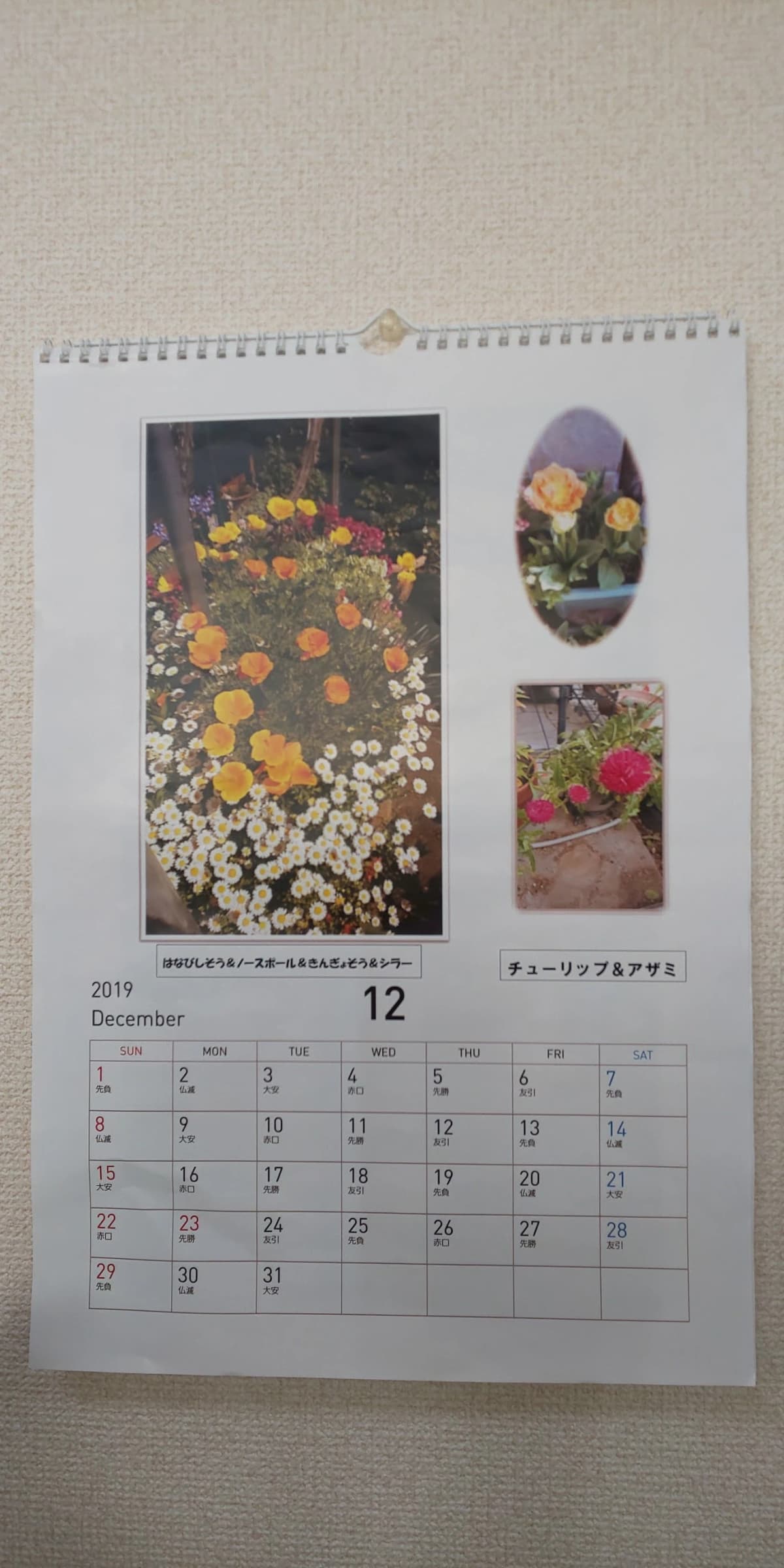 市民パソコン塾 木更津校 画像 552