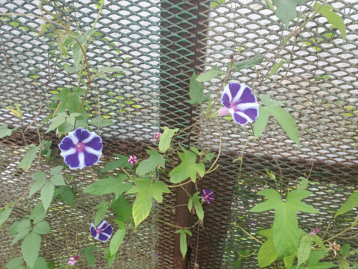 市民パソコン塾 木更津校 画像 44