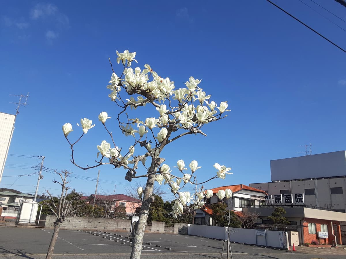 市民パソコン塾 東金校 画像 47