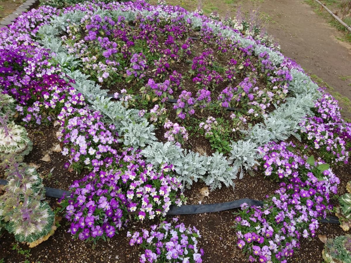 市民パソコン塾 船橋校 画像 54