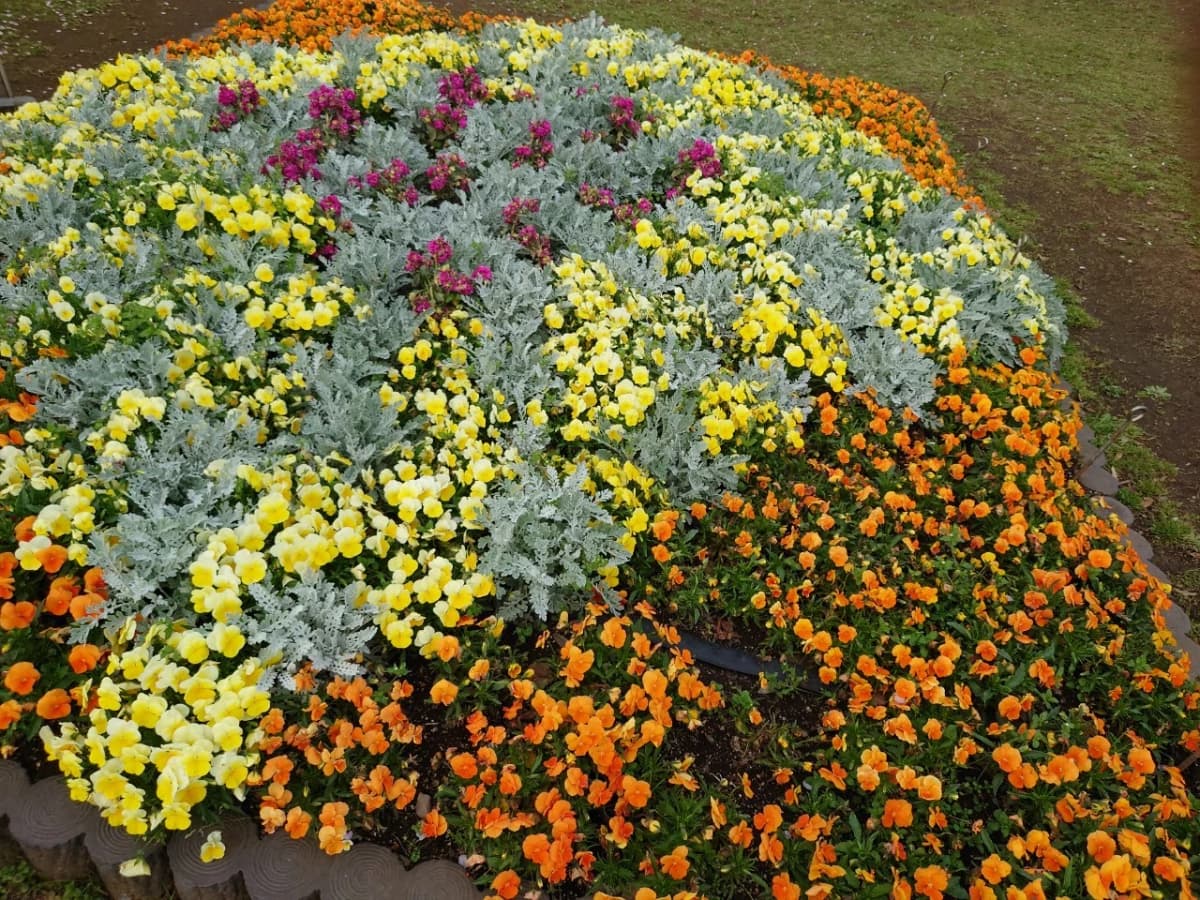 市民パソコン塾 船橋校 画像 62