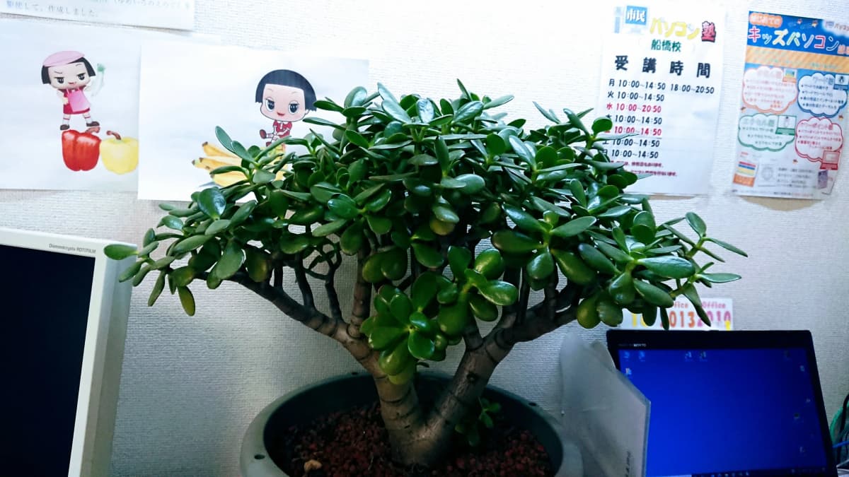 市民パソコン塾 船橋校 画像 65