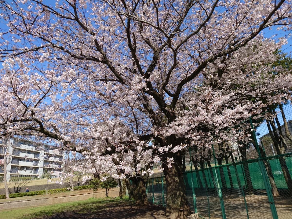 市民パソコン塾 津田沼校 画像 78
