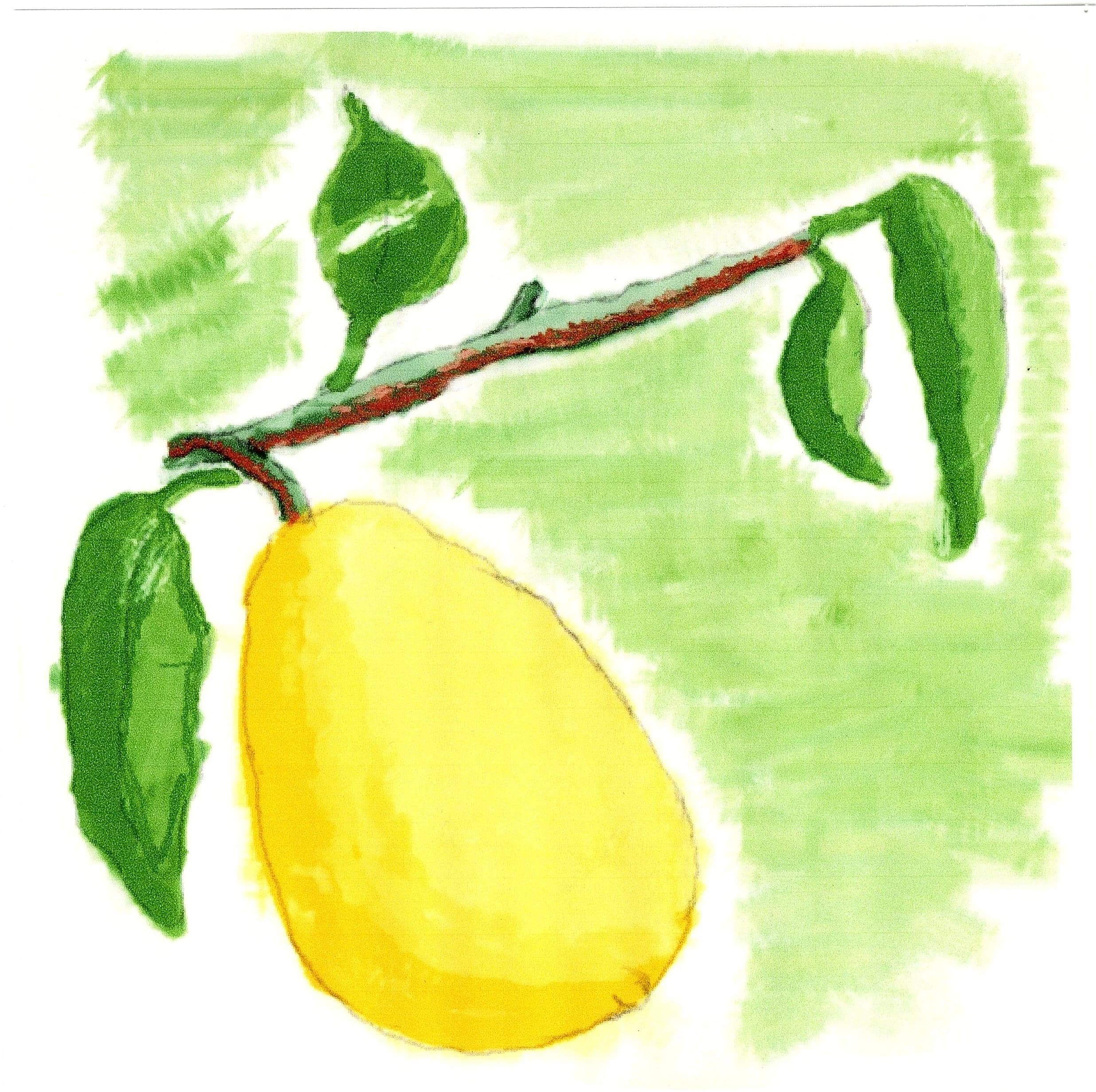 市民パソコン塾 可部校 画像 29