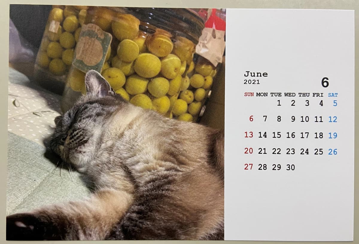 市民パソコン塾 伊勢崎校 画像 118