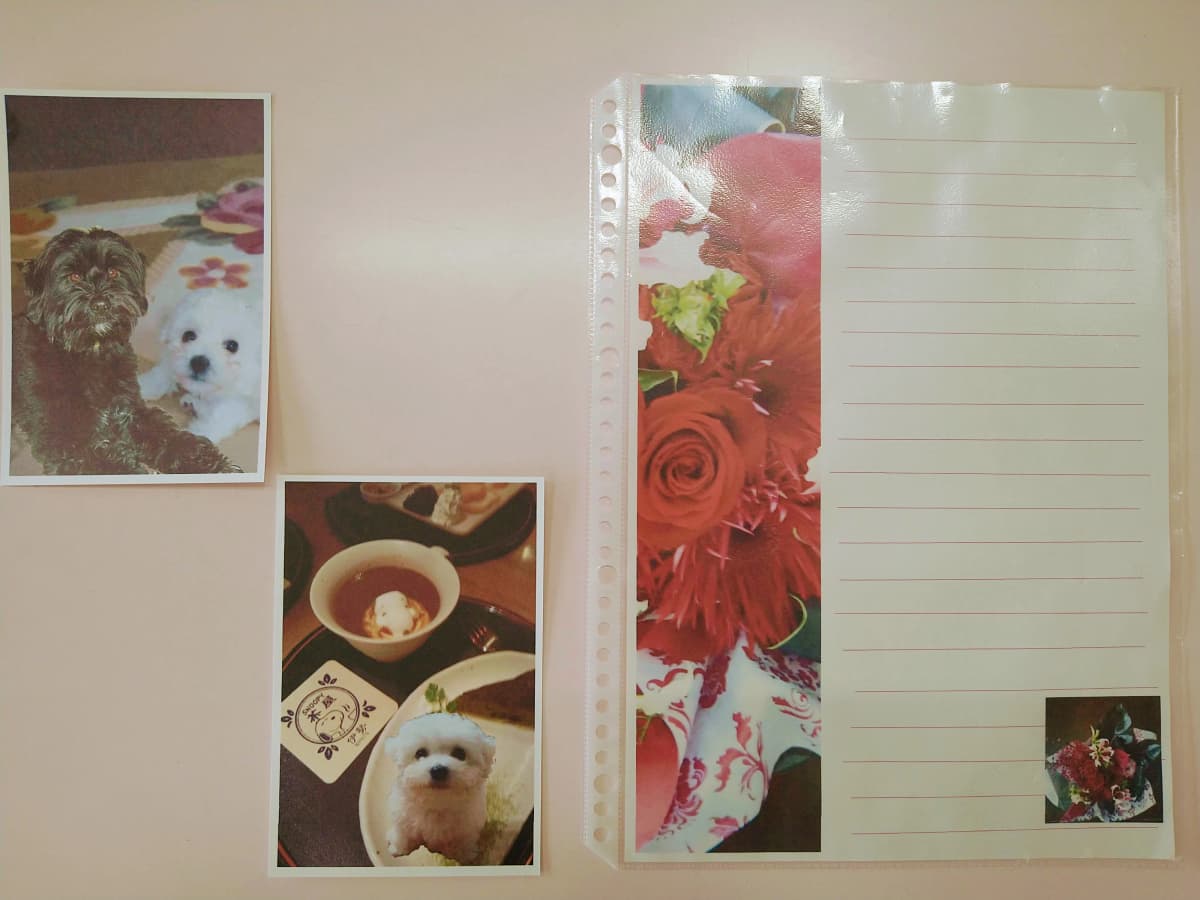 サムネイル画像 6