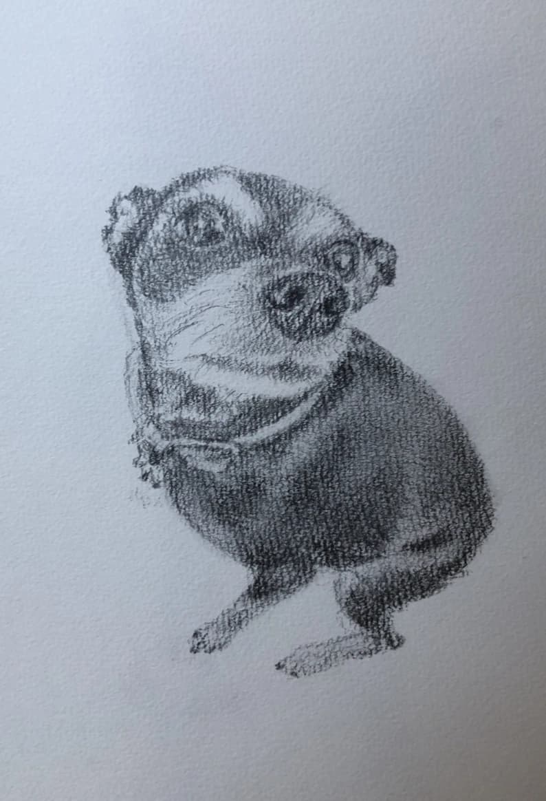 海月絵画教室 画像 4