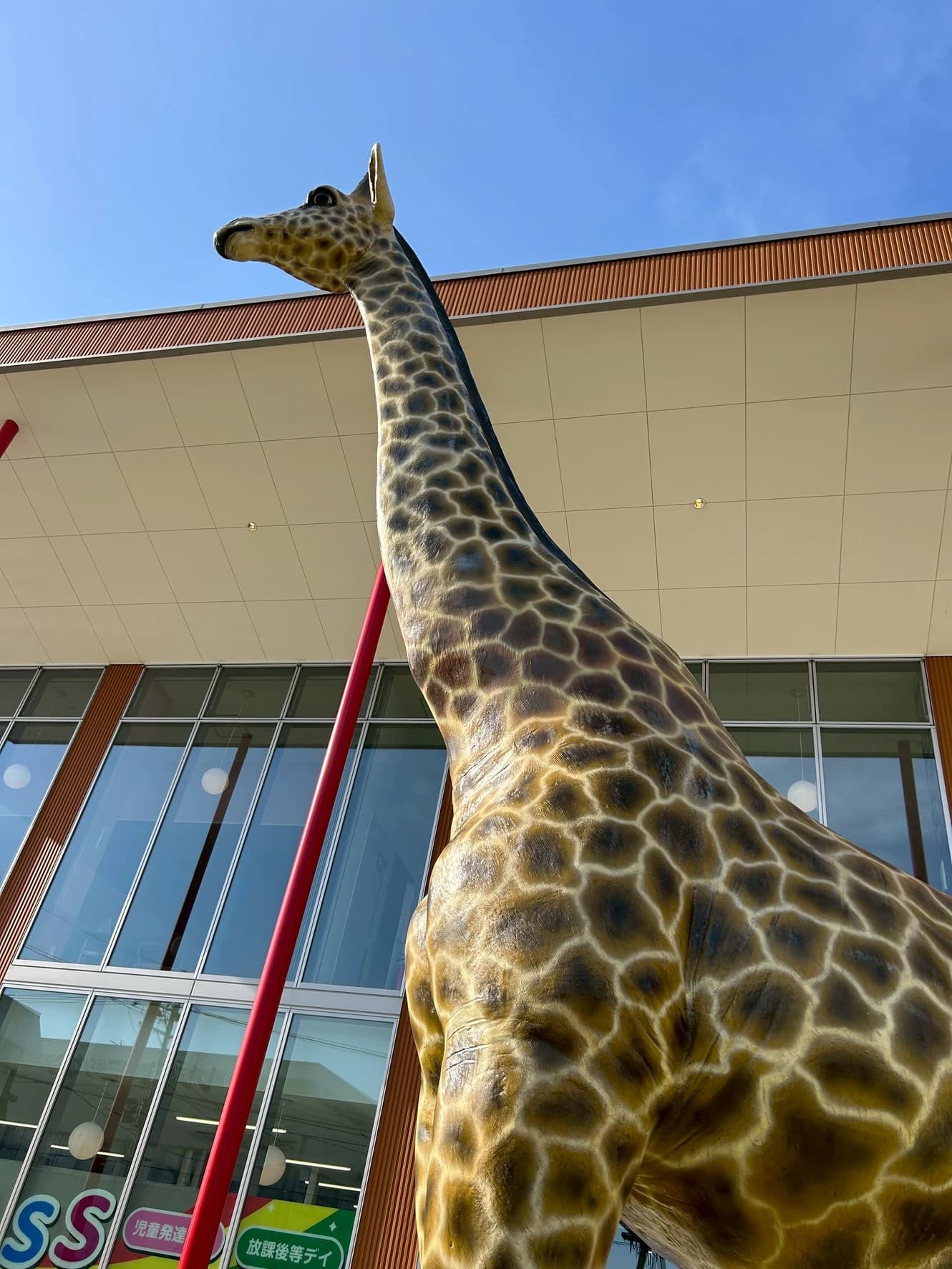 サムネイル画像 5