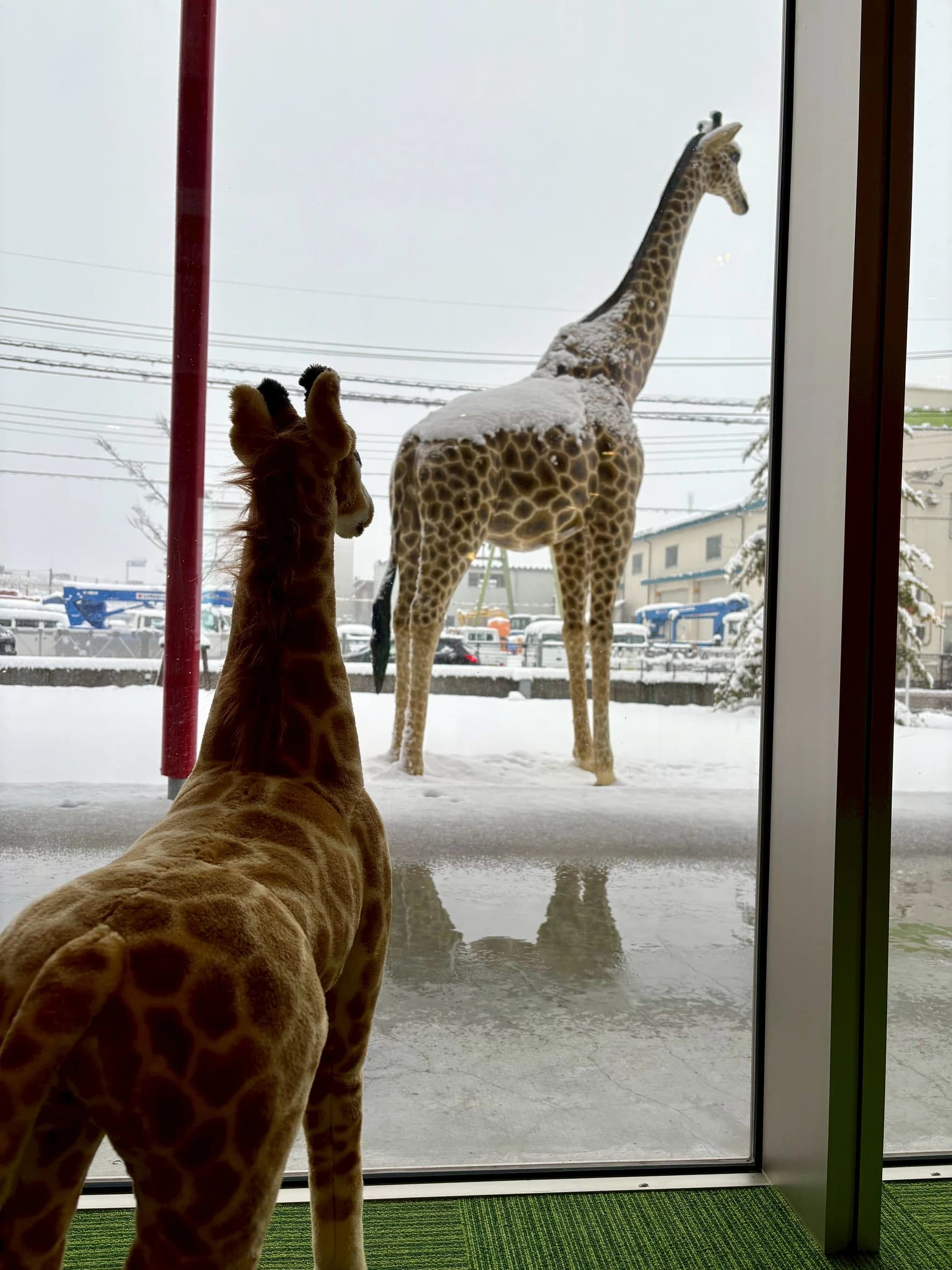 サムネイル画像 6