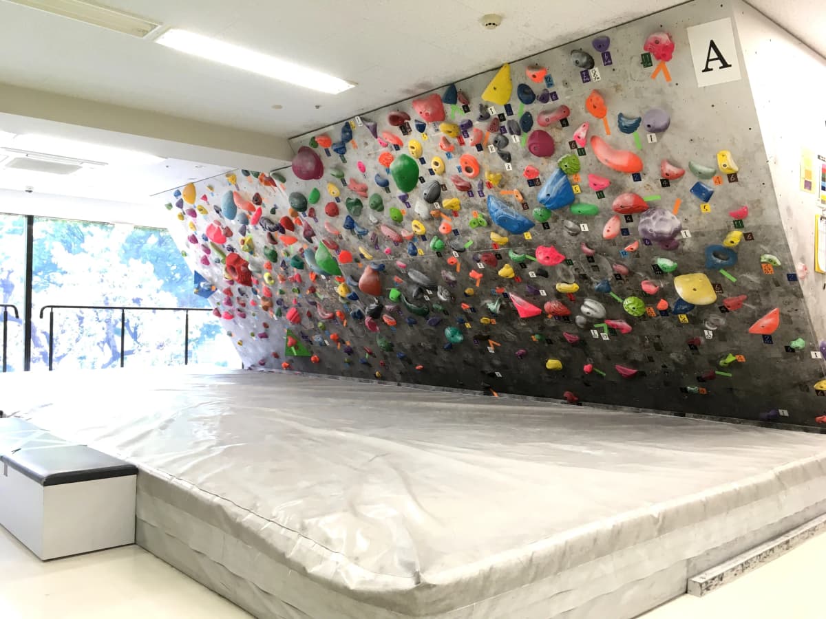 サムネイル画像 5