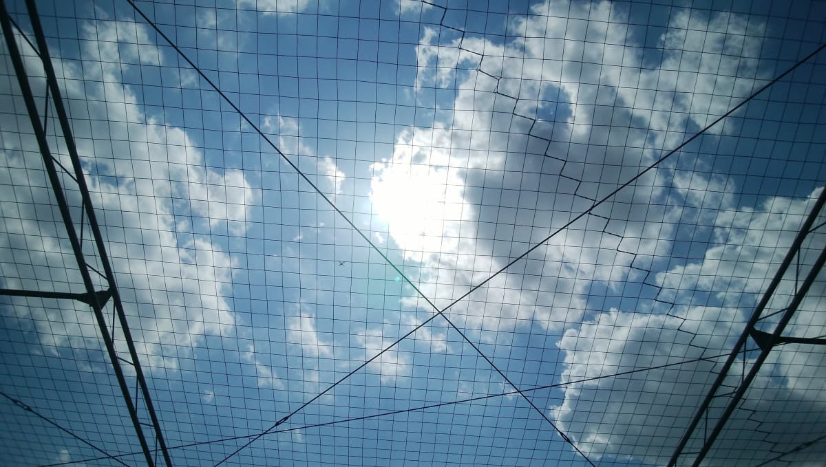 サムネイル画像 3