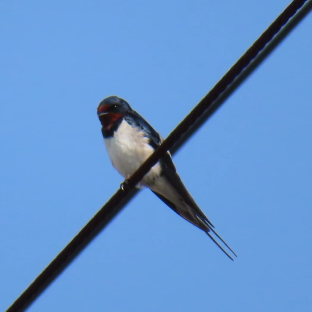 サムネイル画像 6