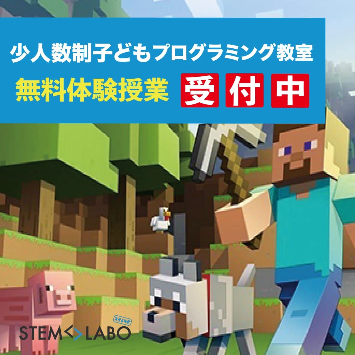 STEM☆LABO 都筑ふれあいの丘教室のサムネイル画像 4