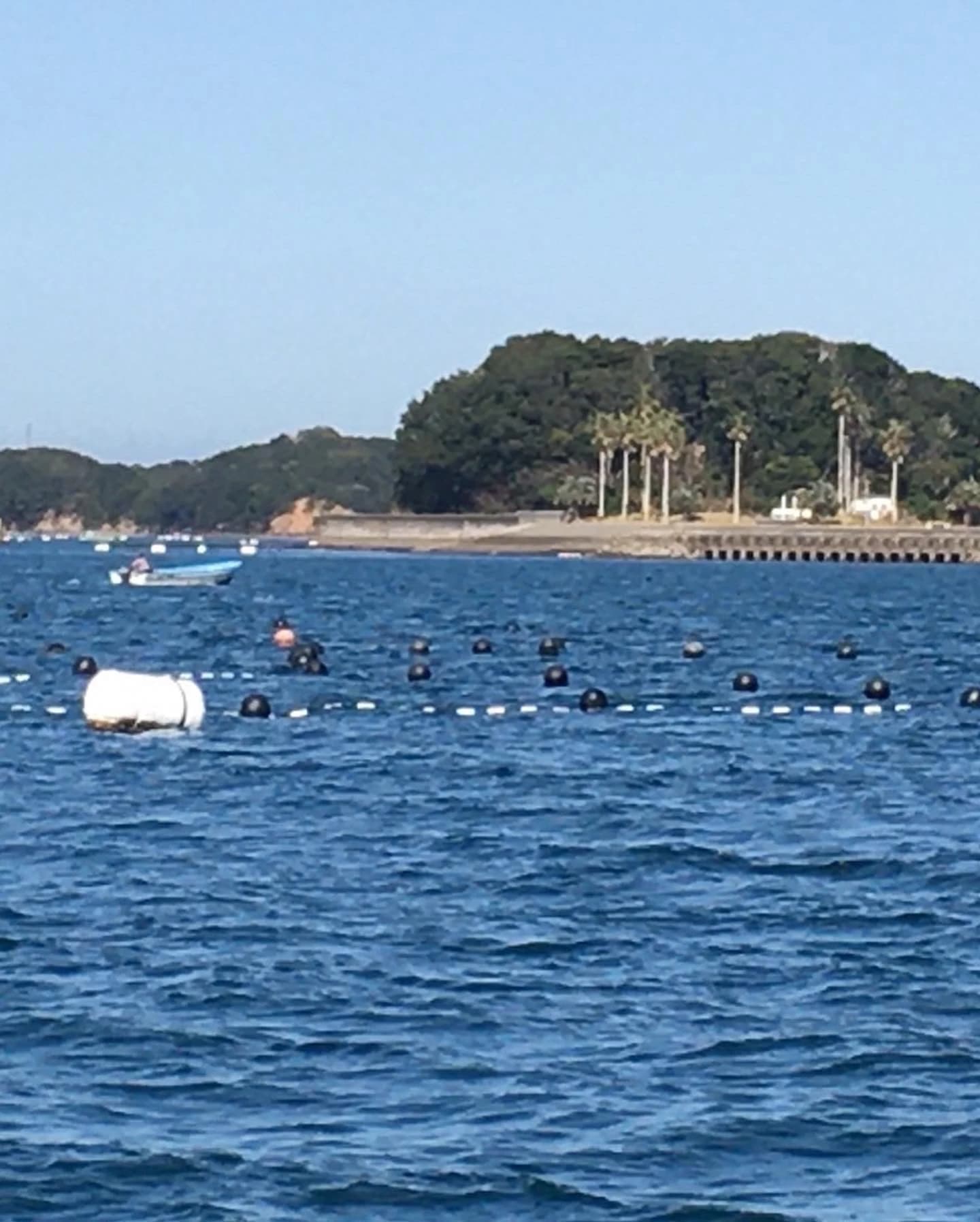 サムネイル画像 5