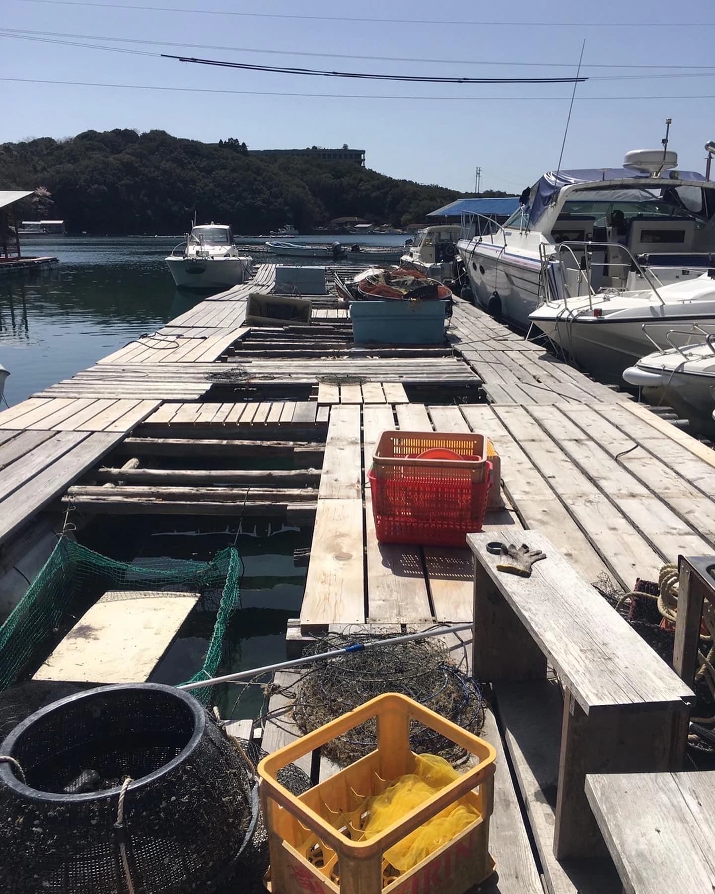 サムネイル画像 6