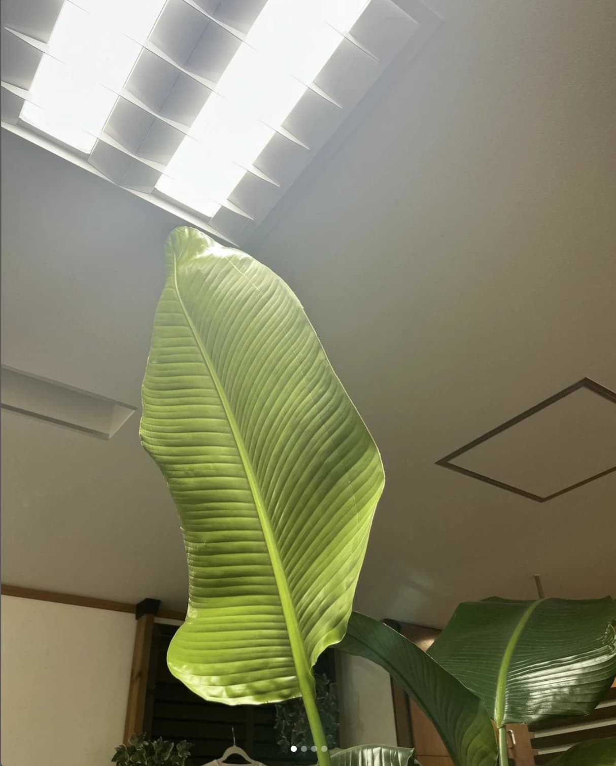 SmileCode 湖西鷲津みのわ通り店 画像 35