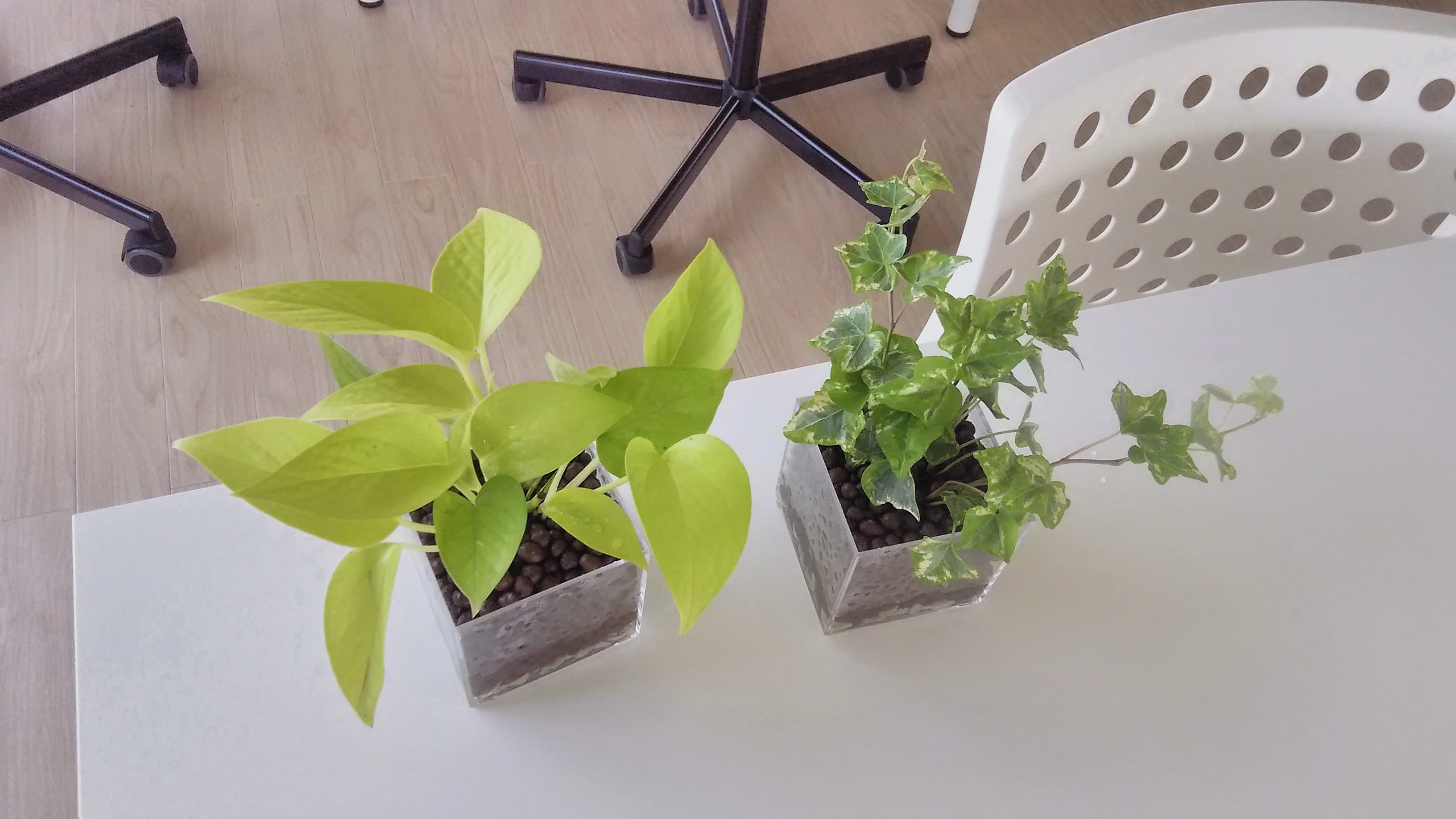 ハッピーコンピューティングのサムネイル画像 5