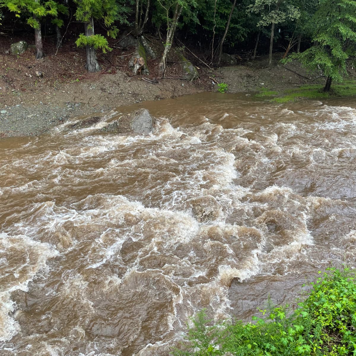 サムネイル画像 3