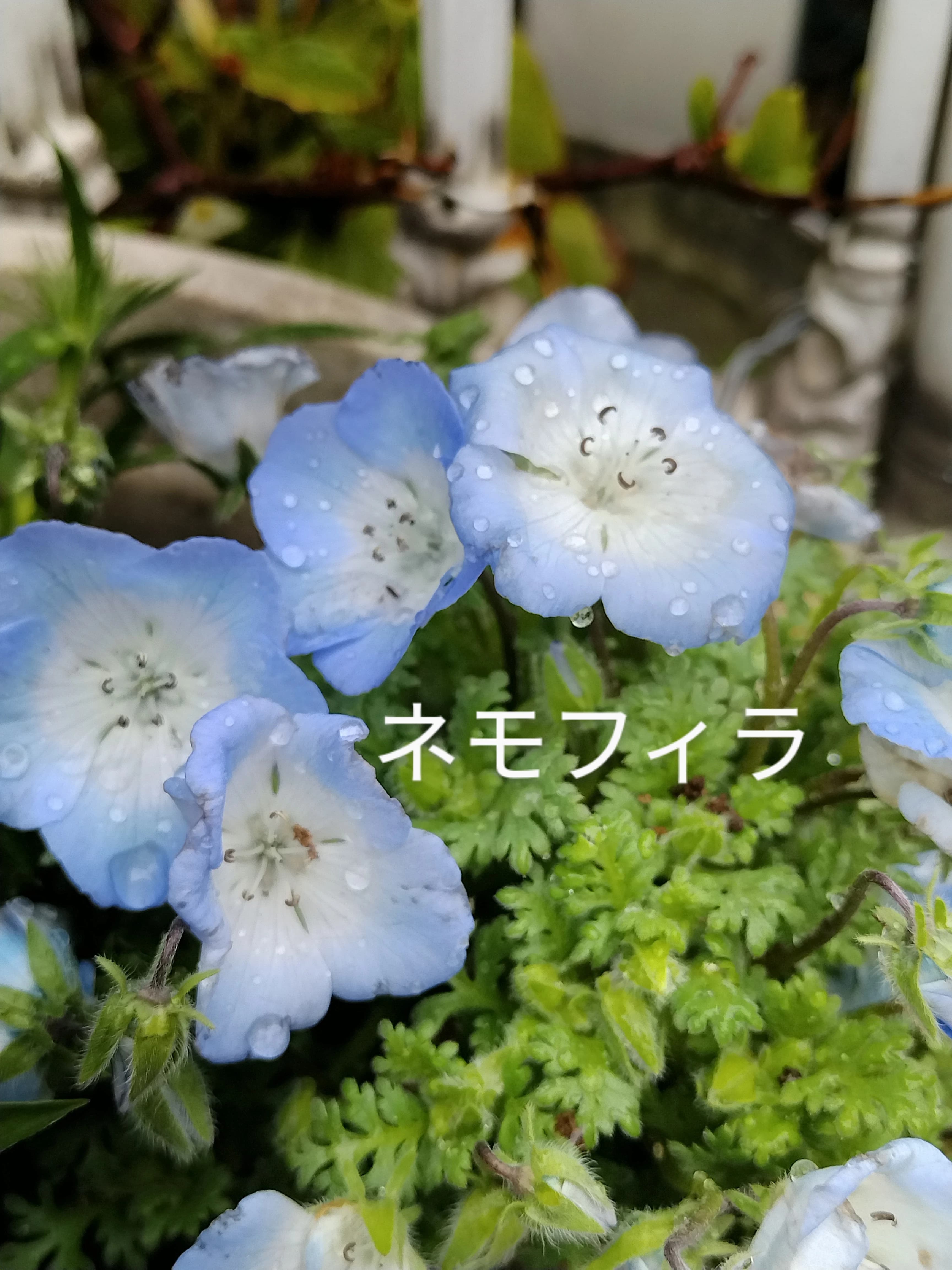 黒川速算塾石原教場 画像 24