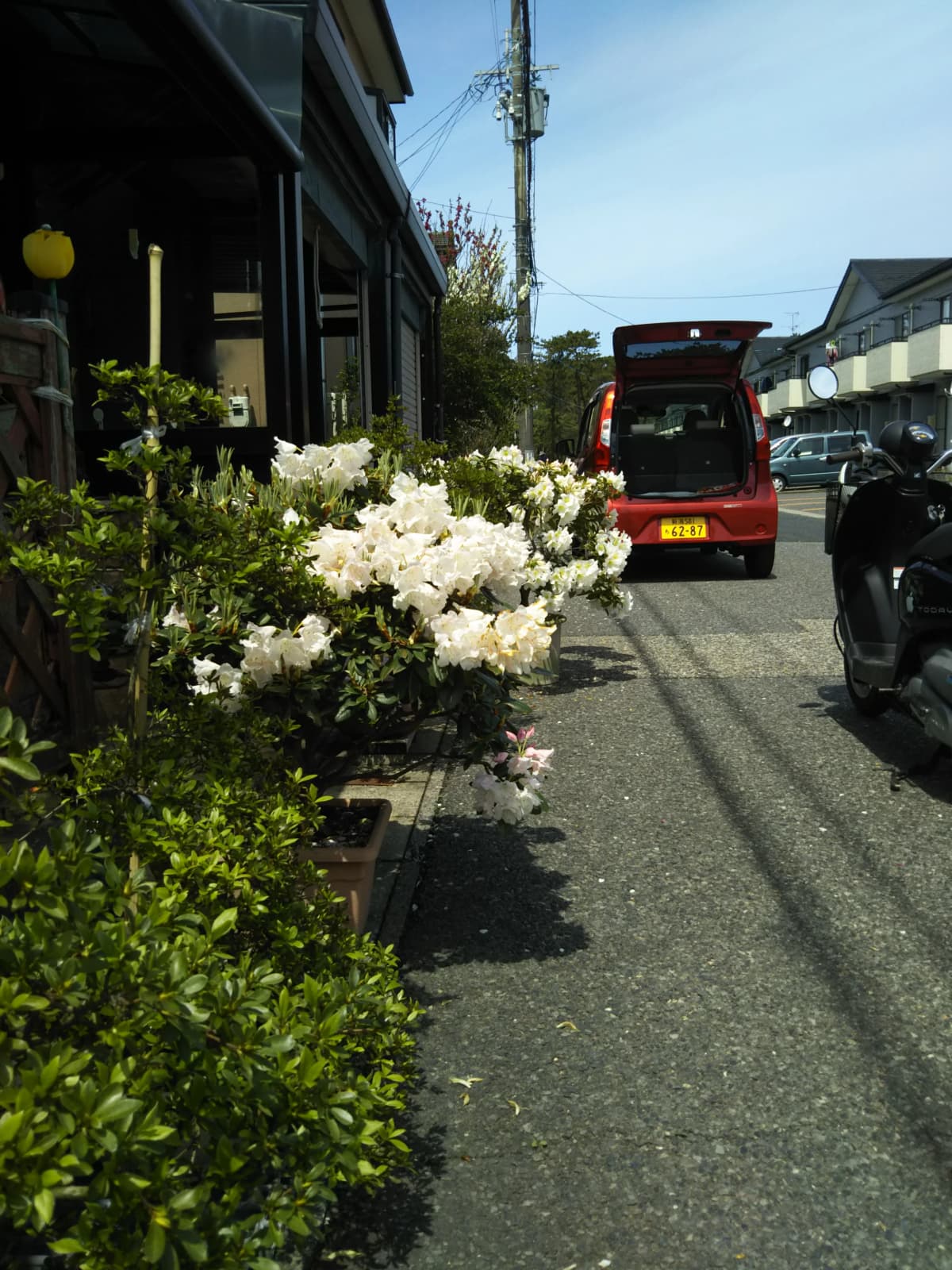 サムネイル画像 4