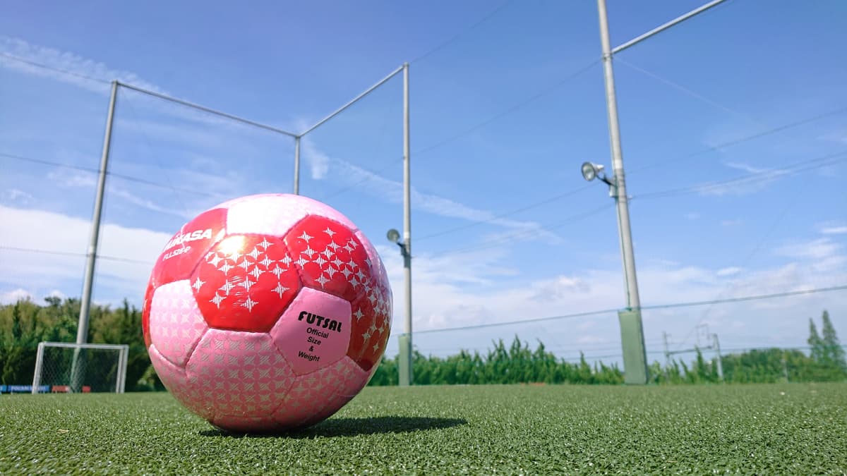 green F.C フットサルアリーナ大樹 画像 12