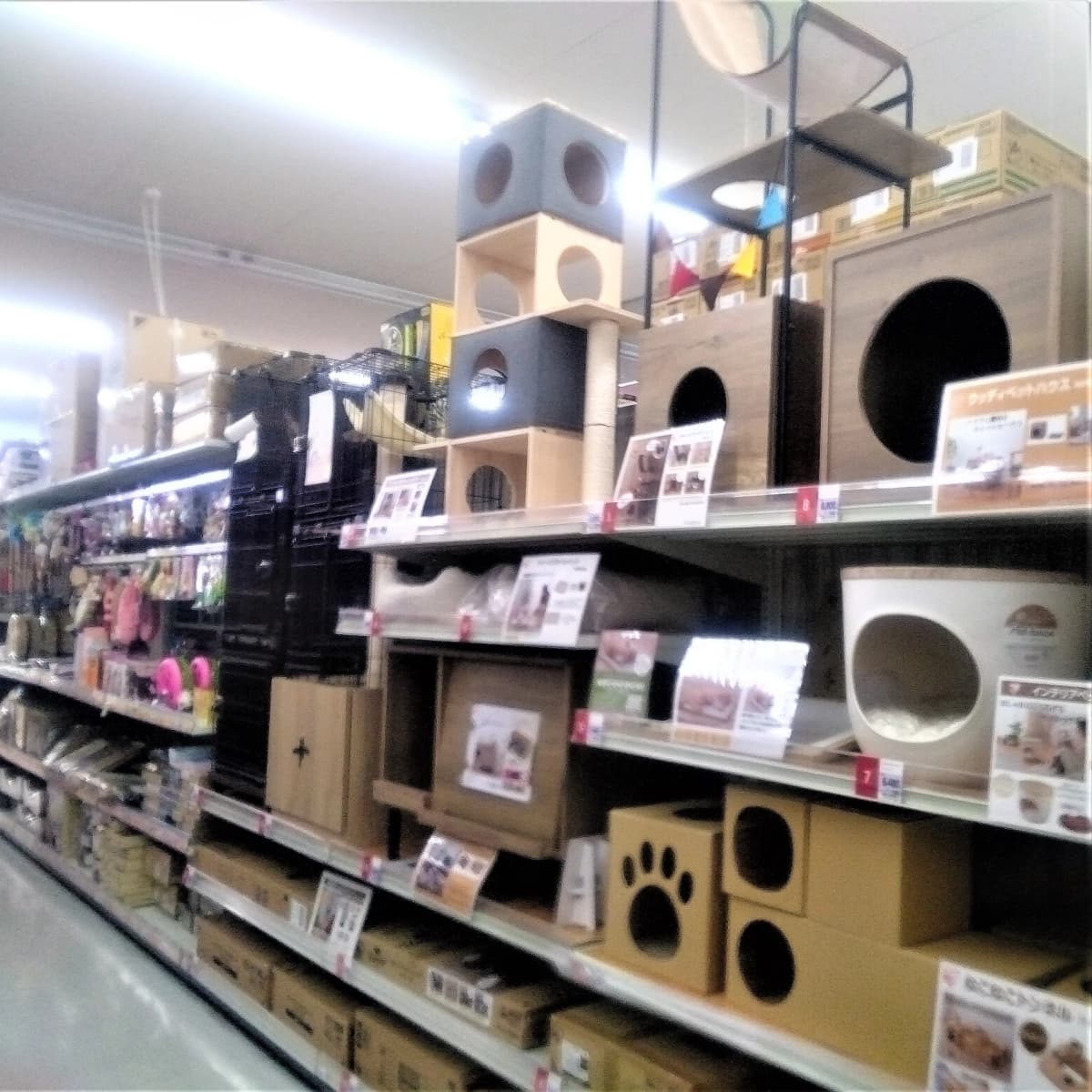 サムネイル画像 4