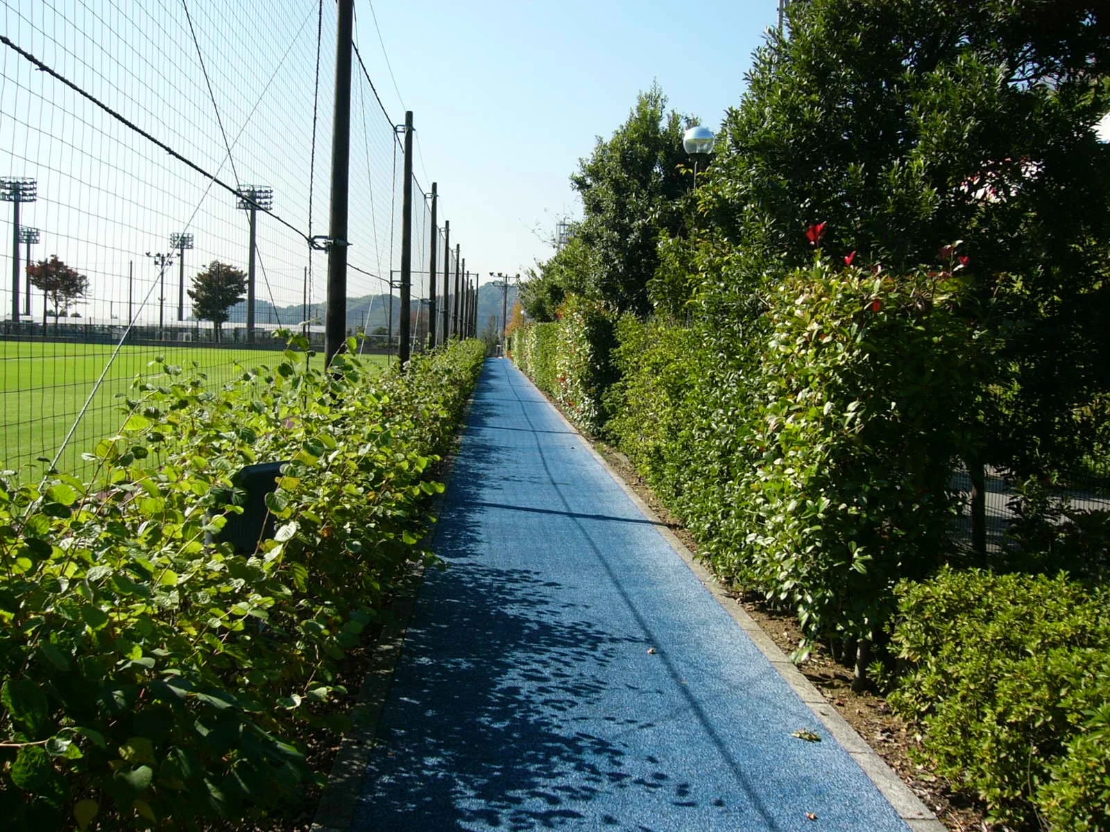 清水FC女子 清水ナショナルトレーニングセンターJ-STEPのサムネイル画像 2