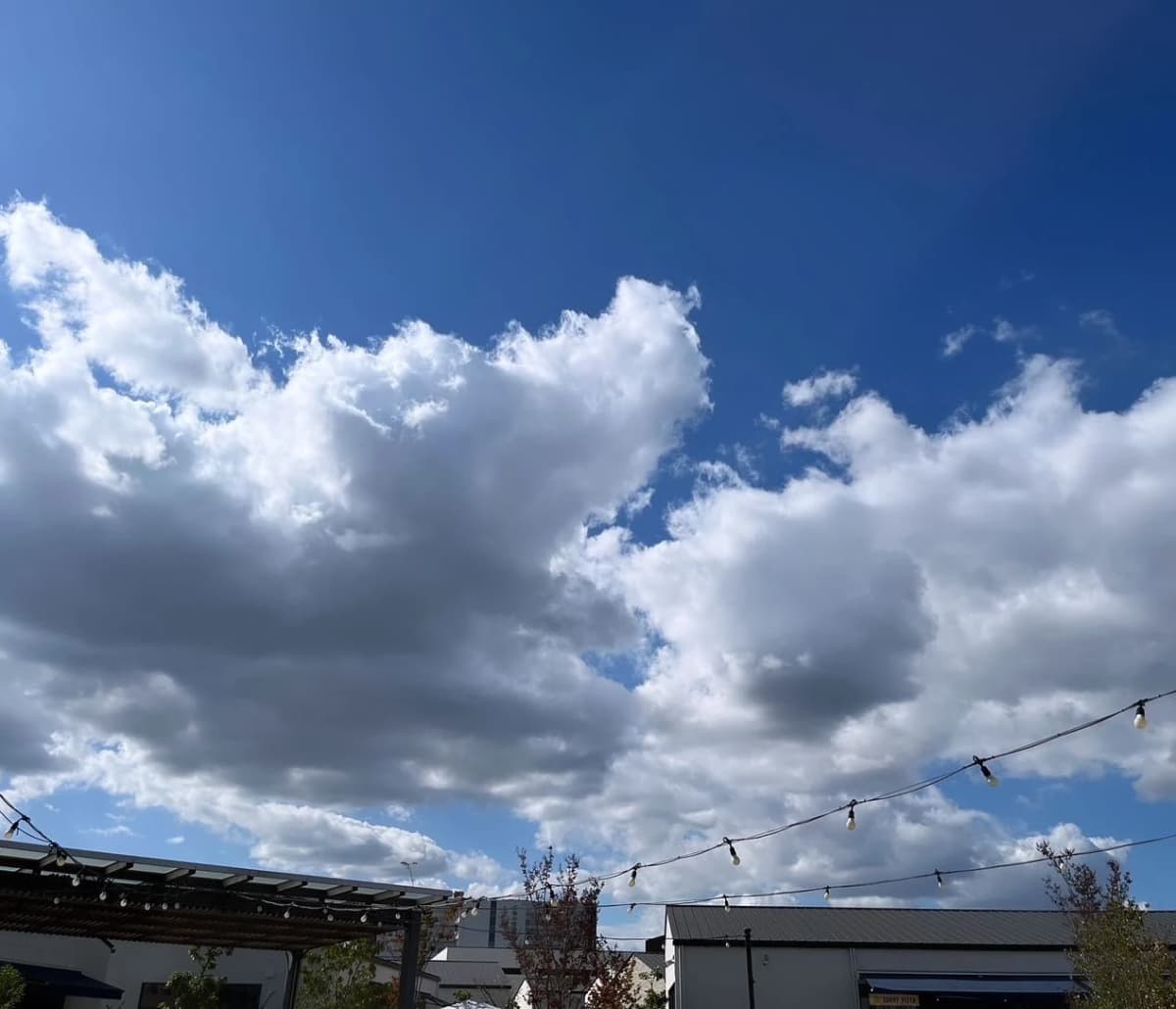 レイススポーツクラブ 岡山 当新田会場 画像 51