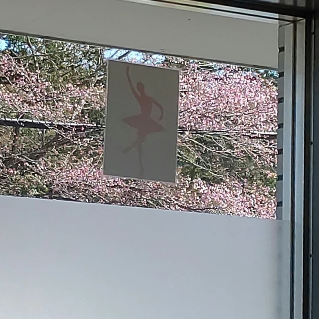 サムネイル画像 6