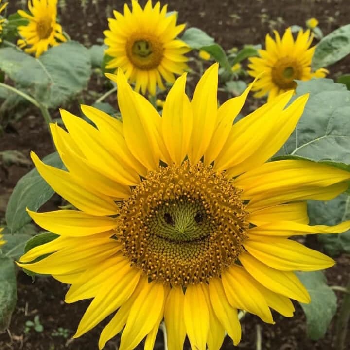 サムネイル画像 3