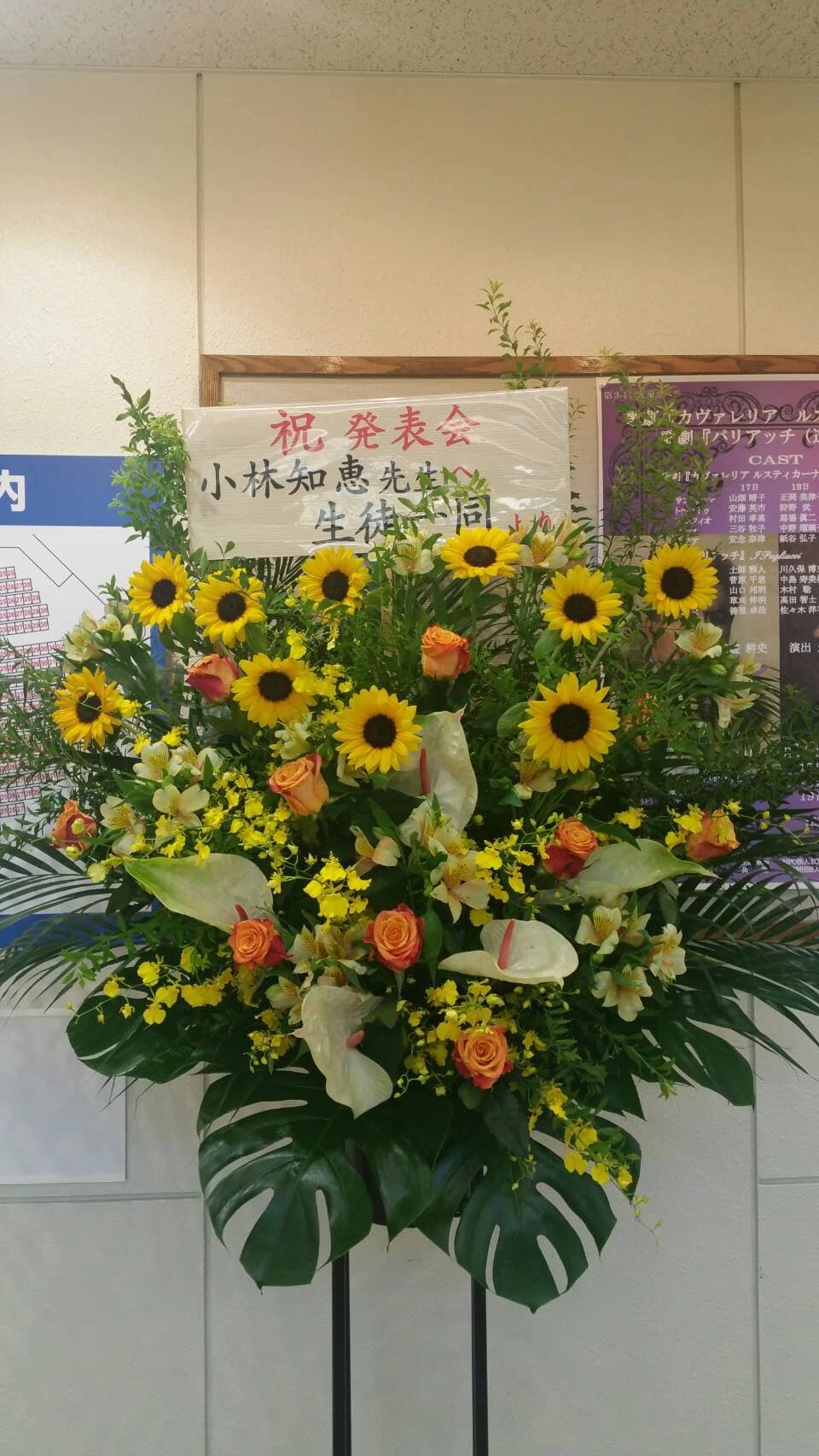 ソフィ バレエスタジオ 阿佐谷南教室のサムネイル画像 3