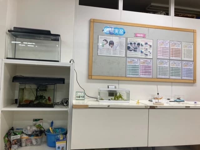 サムネイル画像 6