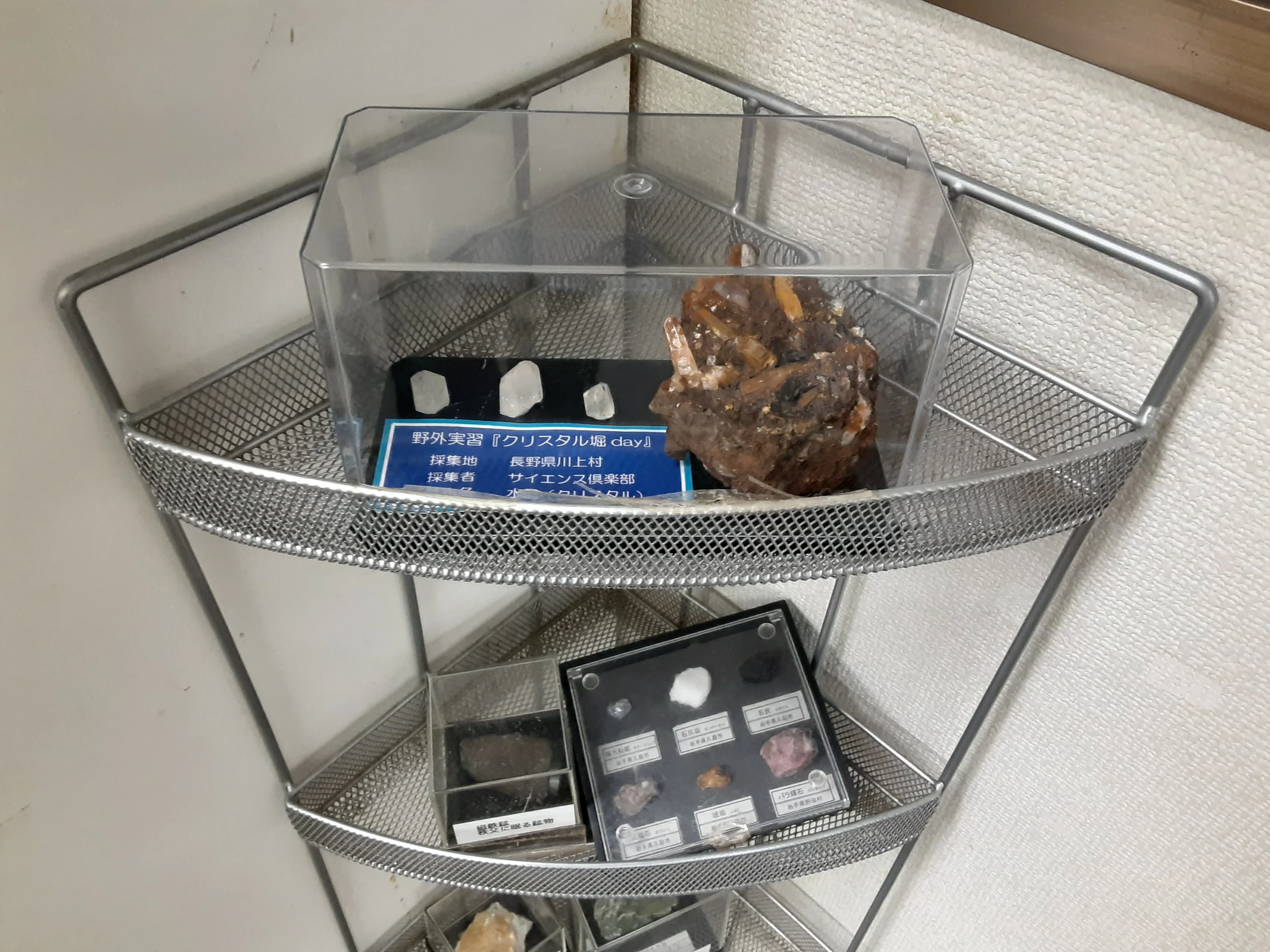 サイエンス倶楽部藤沢教室のサムネイル画像 3