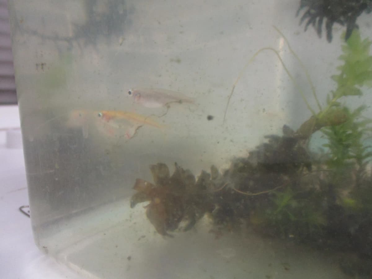 サムネイル画像 3