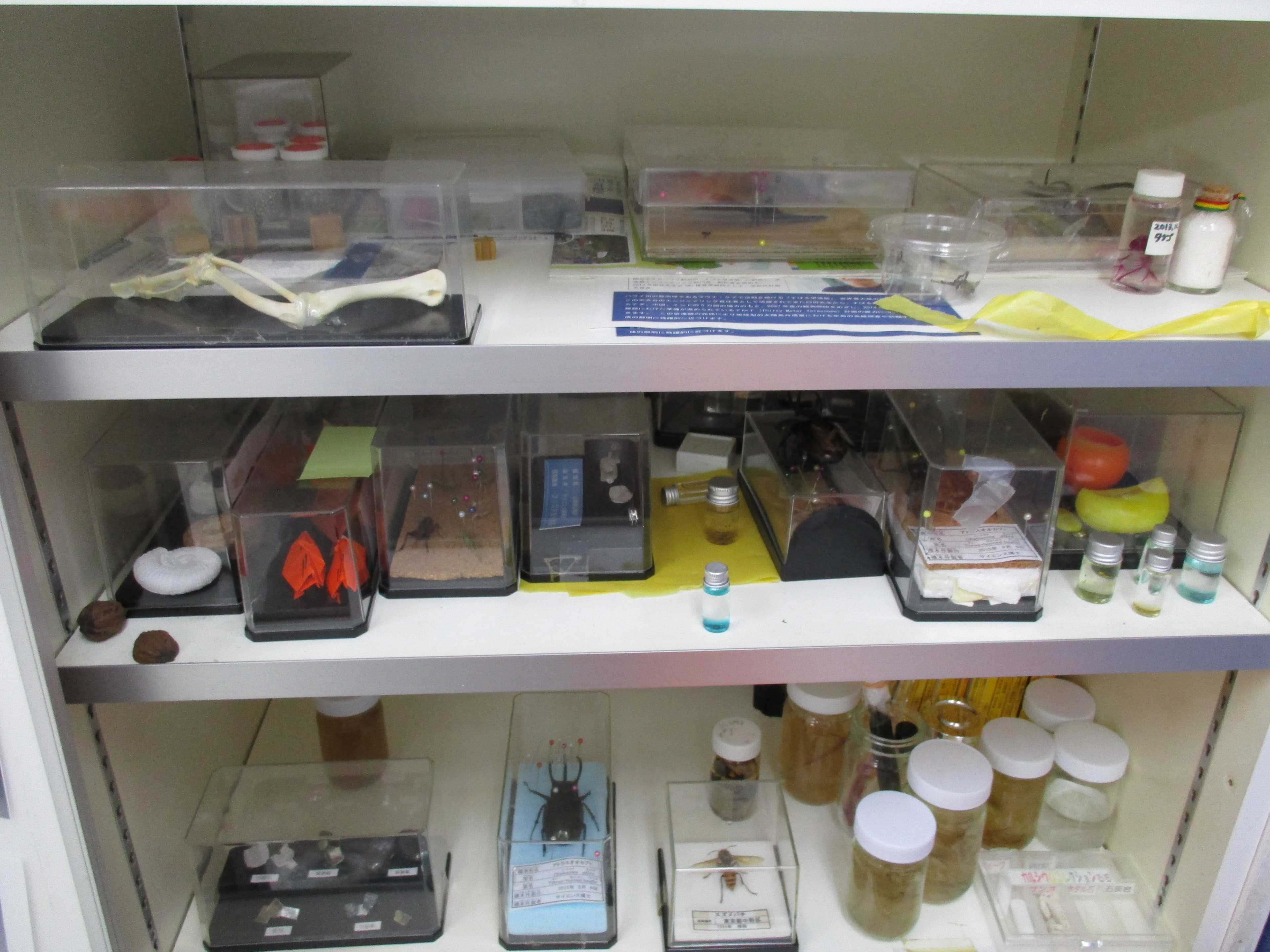 サイエンス倶楽部松戸教室のサムネイル画像 3