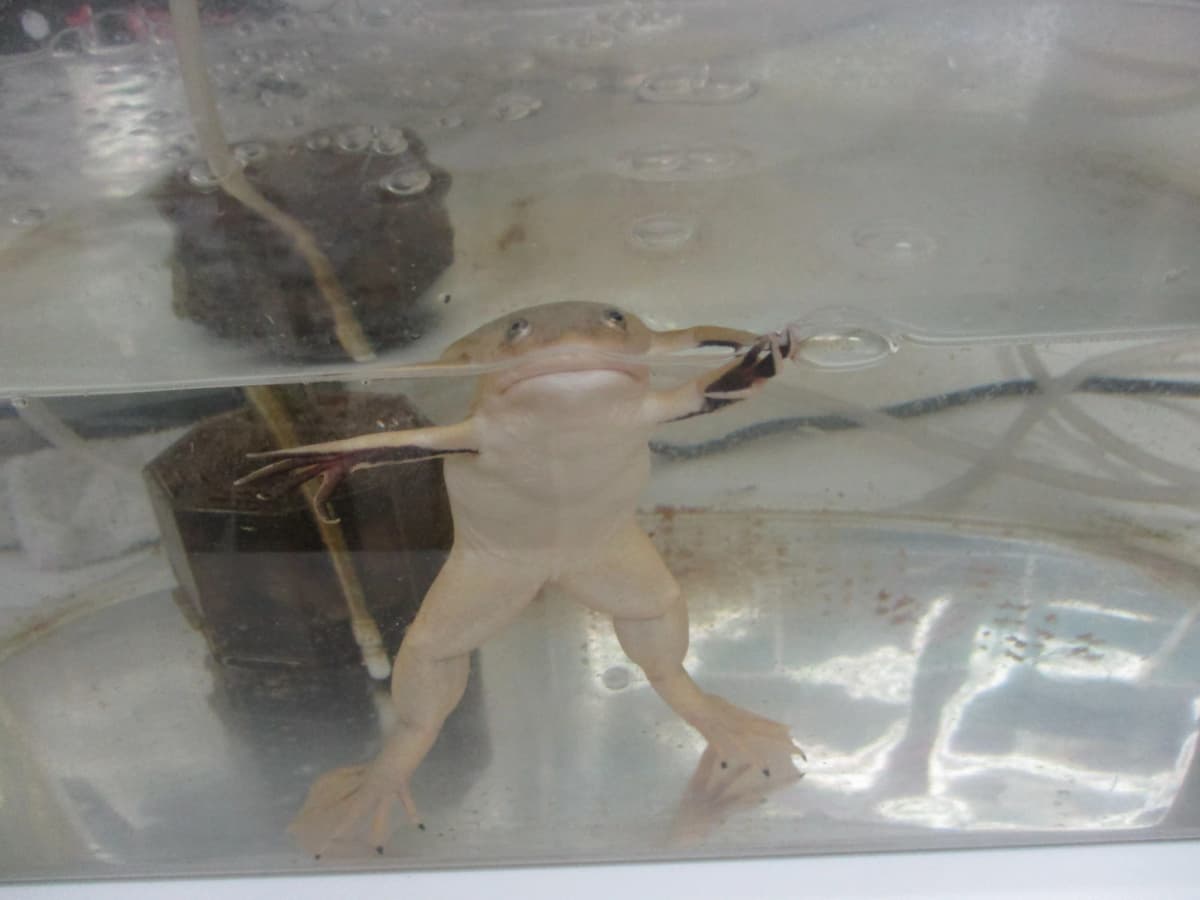 サムネイル画像 5