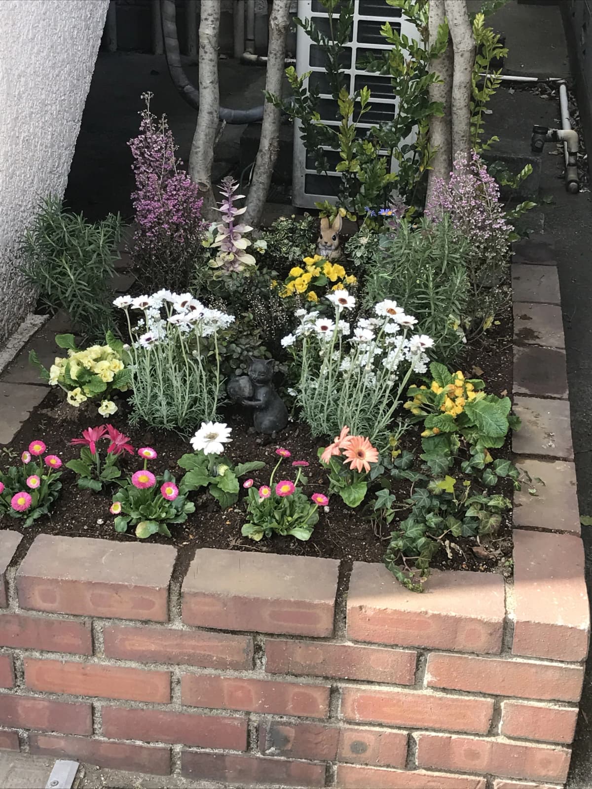 Masami(マサミ) Ballet School 平和台 マサミバレエスタジオ 画像 60