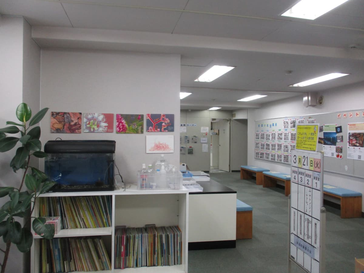 サイエンス倶楽部横浜教室のサムネイル画像 3