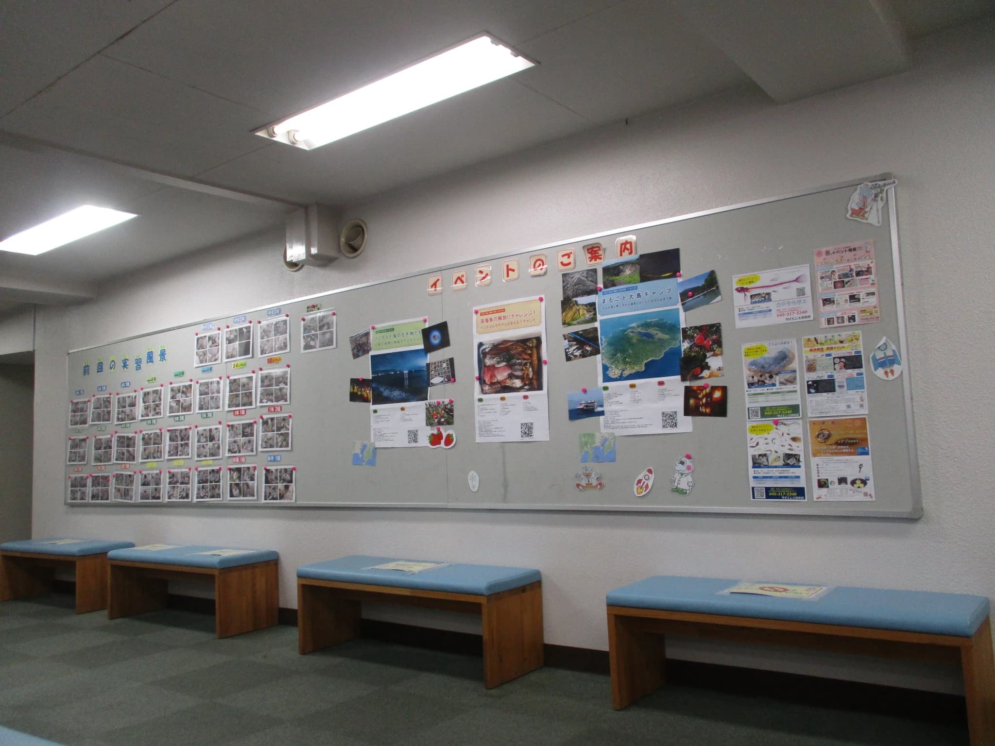 サイエンス倶楽部横浜教室のサムネイル画像 5