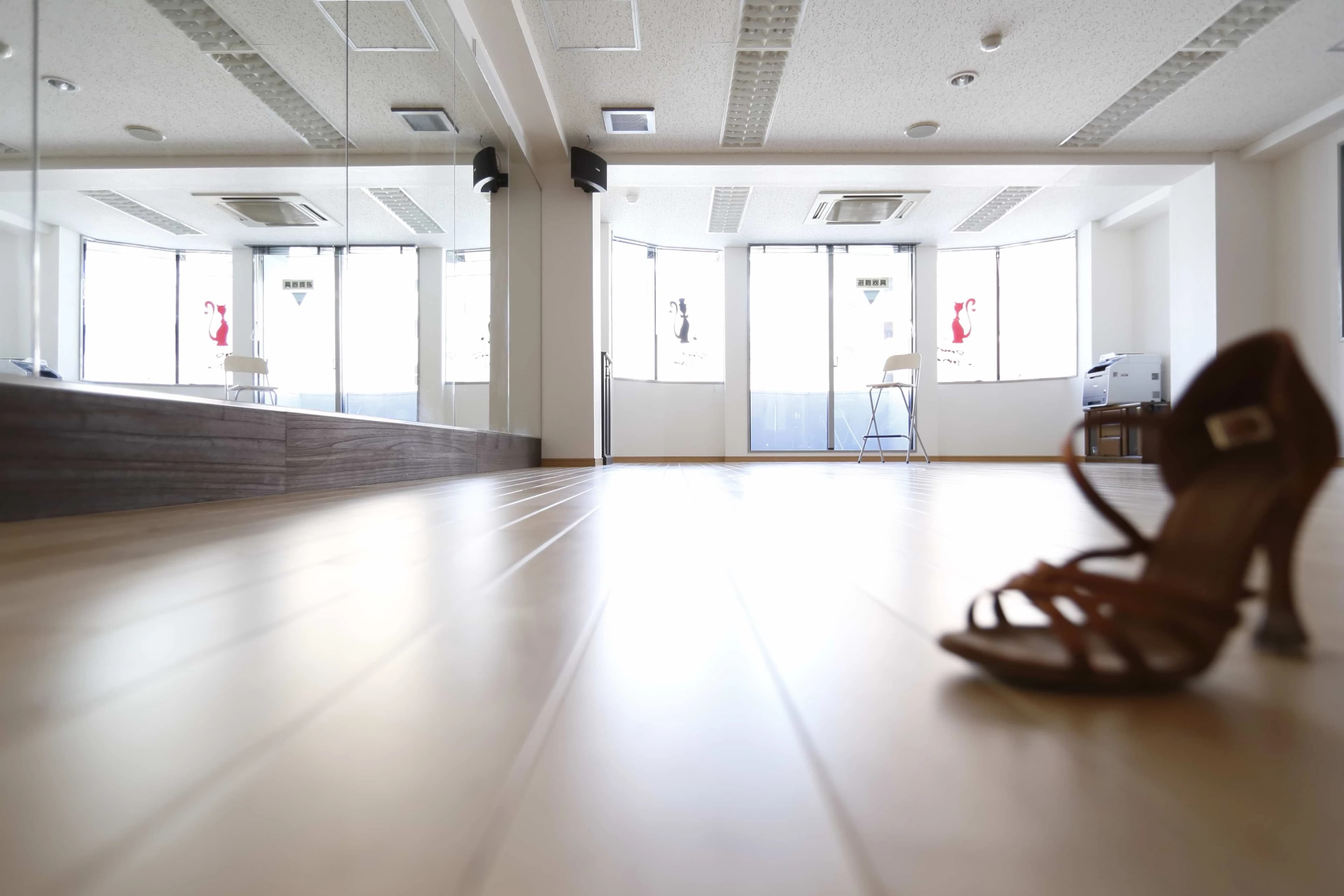 Las Danzas in Tokyo(ラス ダンツァス イン トウキョウ) バレエ 住吉町教室のサムネイル画像 3