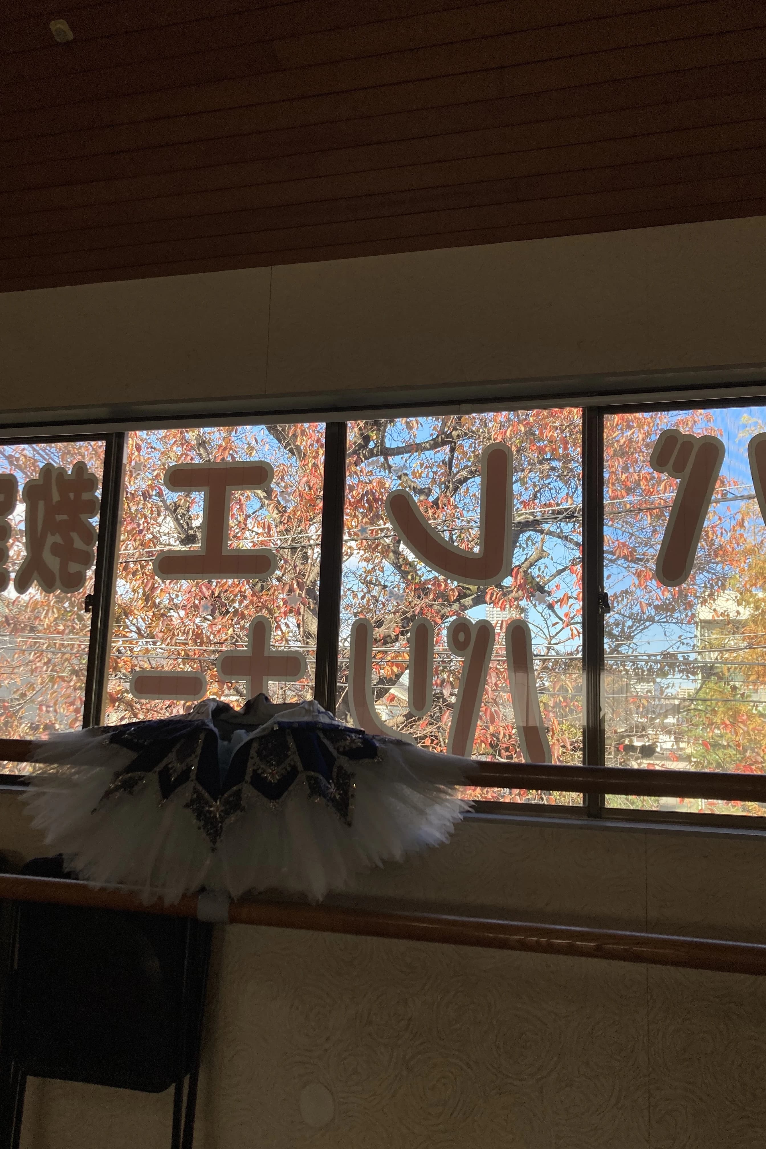 バレエ教室パリナー 東元町教室のサムネイル画像 4