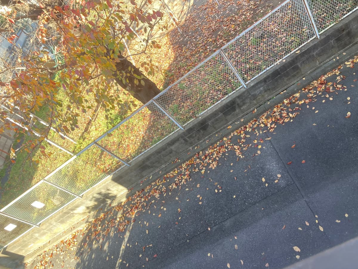 サムネイル画像 3