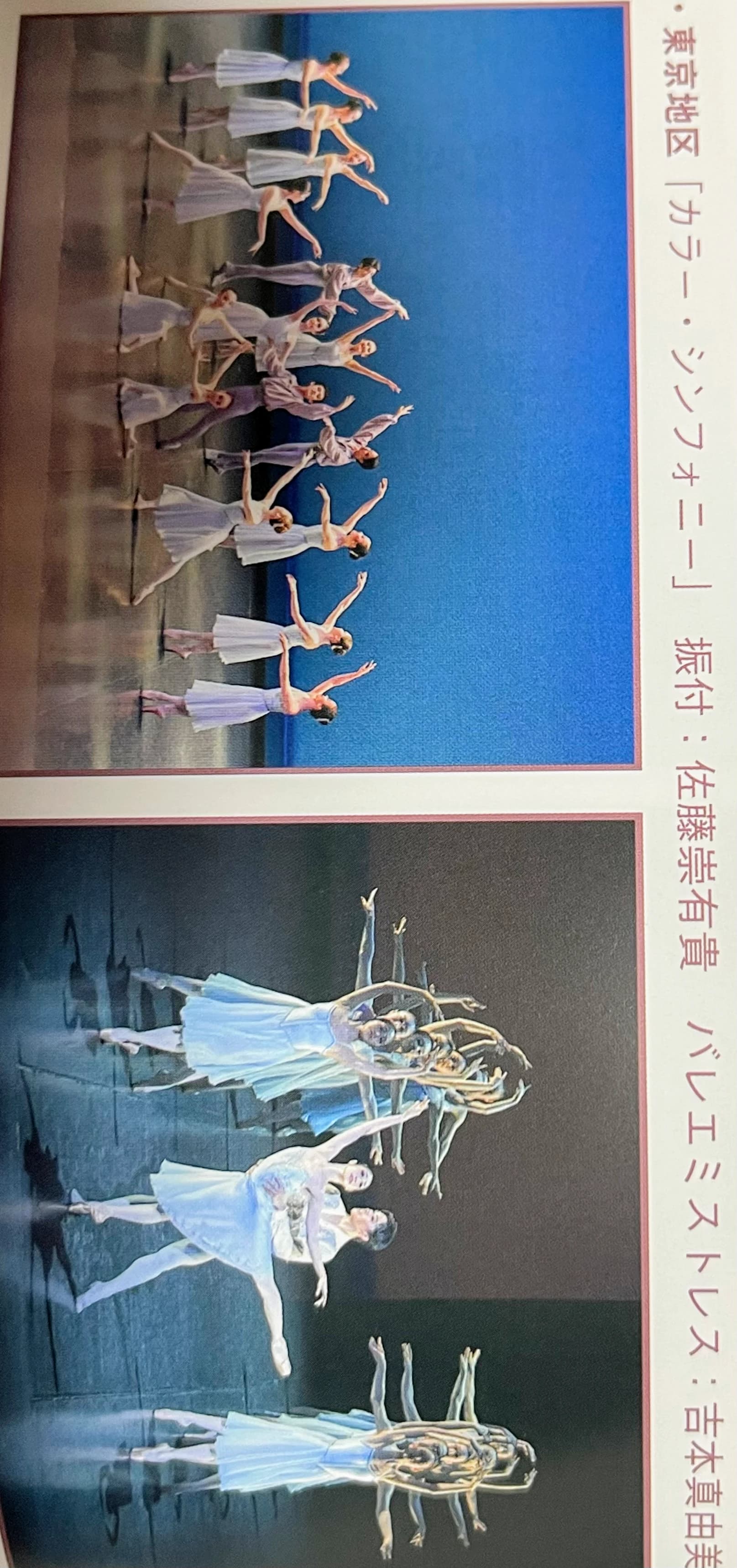 Amour Ballet(アムールバレエ) 平井教室のサムネイル画像 4